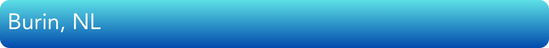 Graphic with text Burin